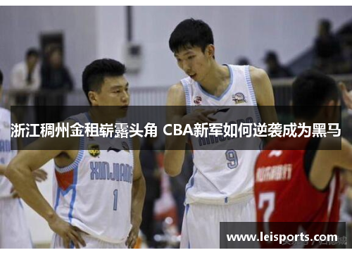 浙江稠州金租崭露头角 CBA新军如何逆袭成为黑马